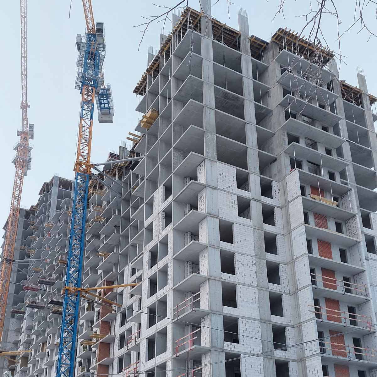 декабрь 2021