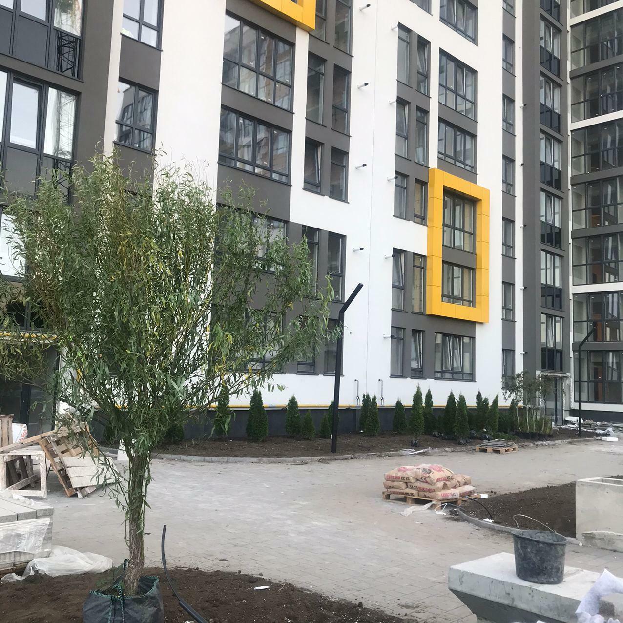 сентябрь 2020