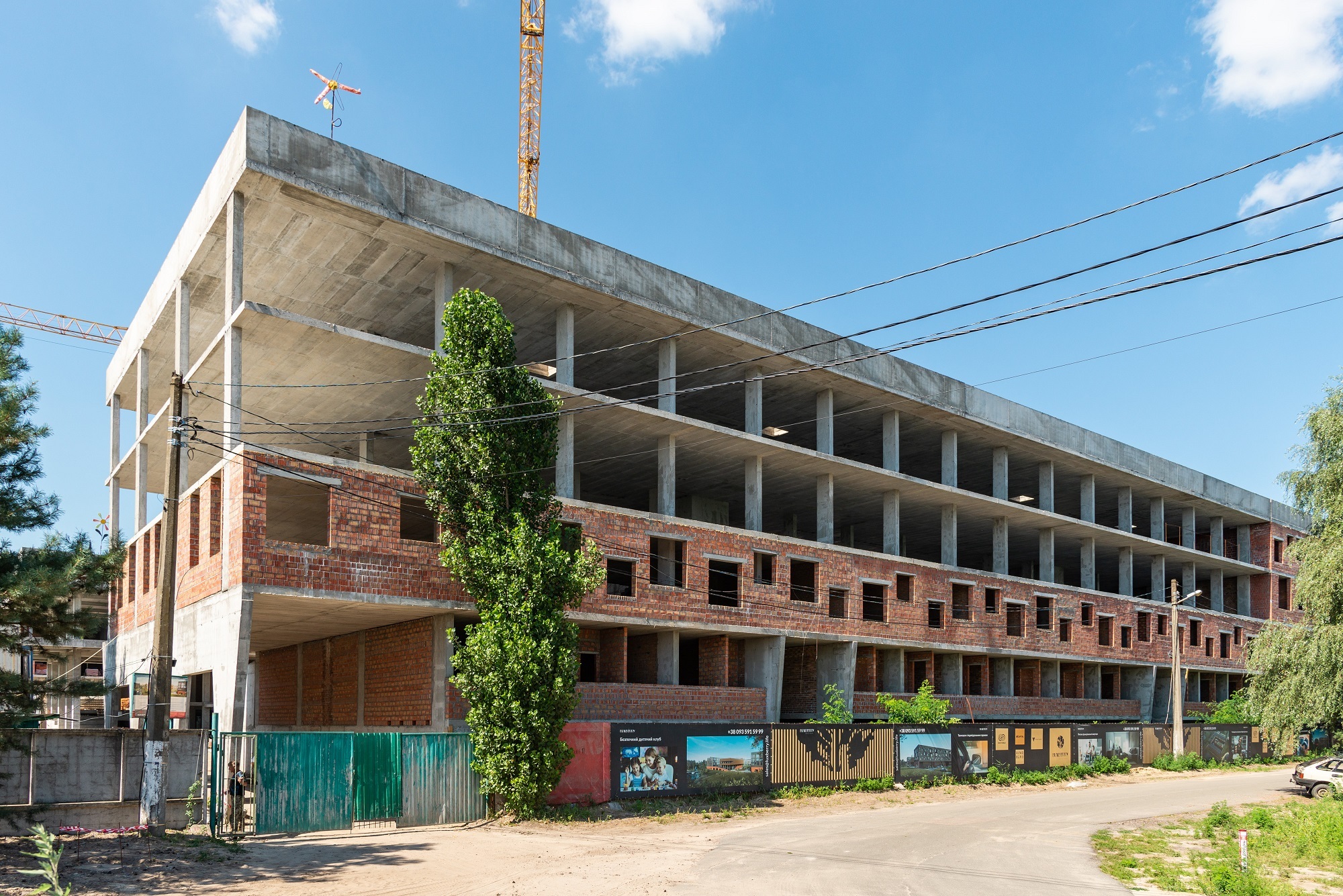 август