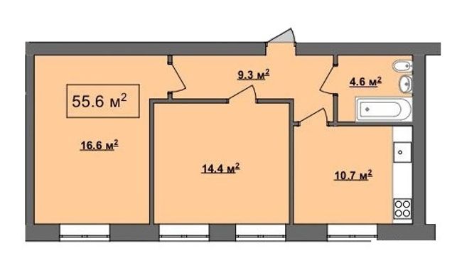 Планировка типа  55.6