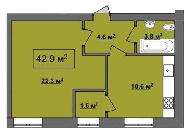 Планировка типа  42.9